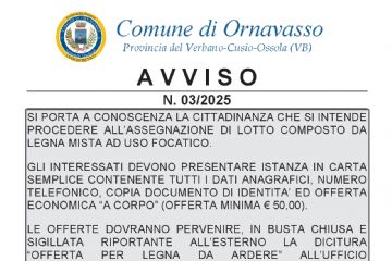 Avviso n. 3/2025